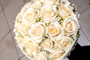 FlorHelp Rose Orange