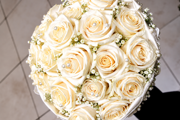 FlorHelp Rose Orange