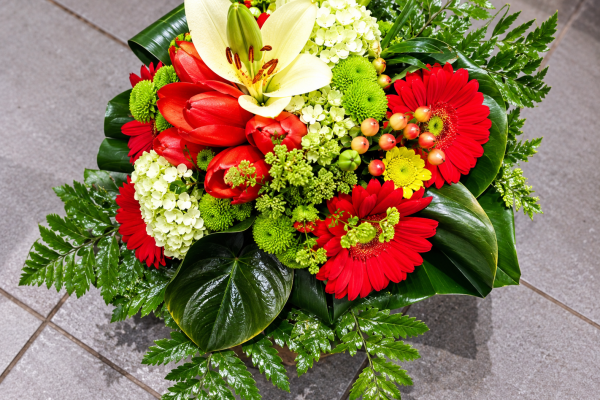 FlorHelp Rose Orange