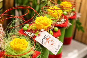 FlorHelp Rose Orange