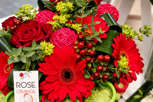 FlorHelp Rose Orange