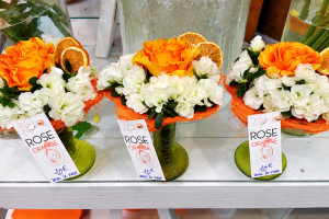 FlorHelp Rose Orange