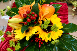 FlorHelp Rose Orange