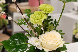 FlorHelp Rose Orange