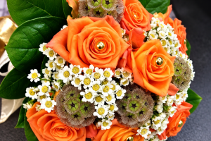 FlorHelp Rose Orange