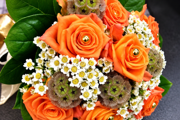 FlorHelp Rose Orange