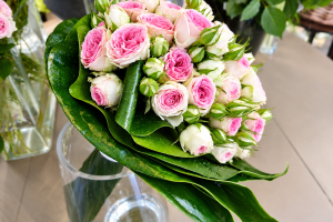 FlorHelp Rose Orange