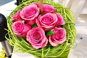 FlorHelp Rose Orange