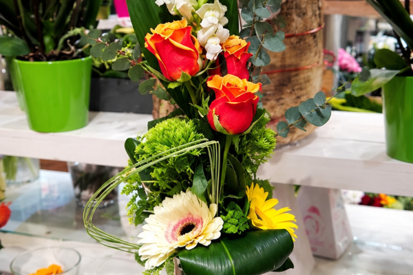 FlorHelp Rose Orange