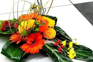 FlorHelp Rose Orange