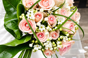 FlorHelp Rose Orange