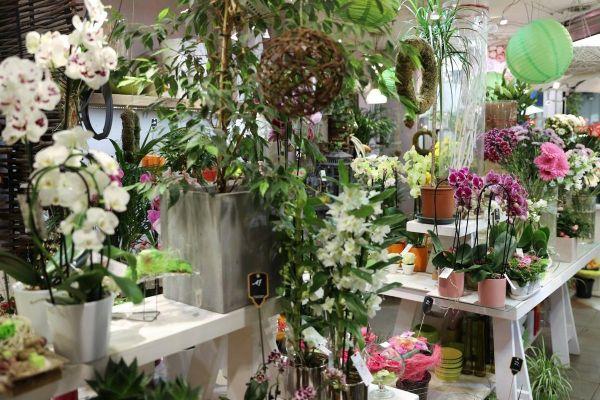 fleuriste extra