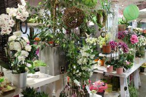 fleuriste extra
