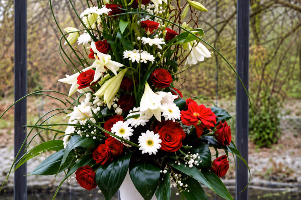 FlorHelp Rose Orange
