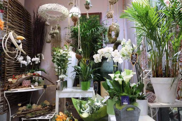 fleuriste extra