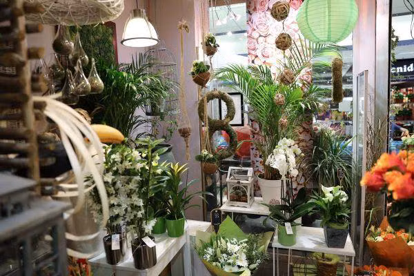 fleuriste extra