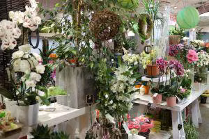 fleuriste extra