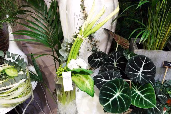fleuriste extra